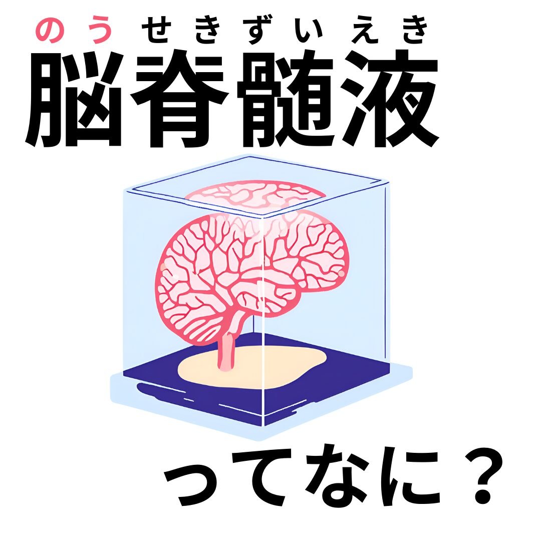 脳や脊髄を守る頭の中の透明な液体「脳脊髄液」とは？
